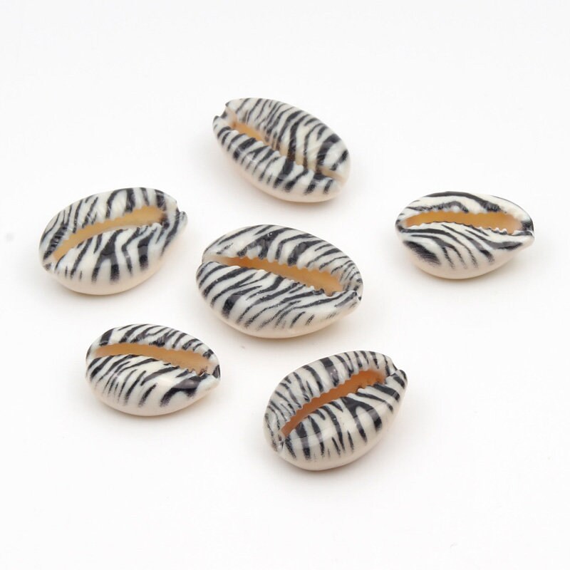 Cowrie Shell Beads | Zebra Stripes Shells for DIY Craft Projects | Hair, Jewelry, Decoration | 20 Pieces