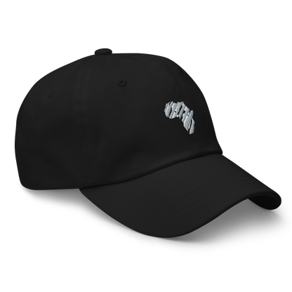 African Zebra Hat